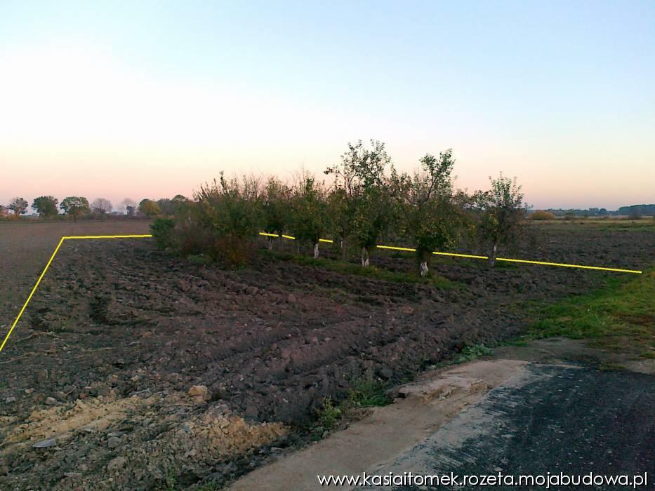 blog budowlany - mojabudowa.pl