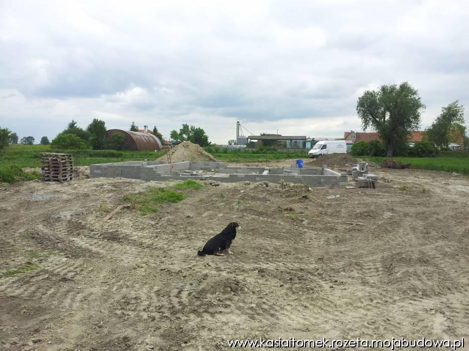 blog budowlany - mojabudowa.pl